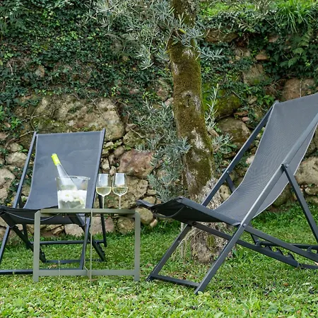 Douro Villa Cinfães