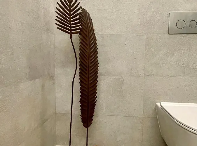 Douro Villa Cinfães